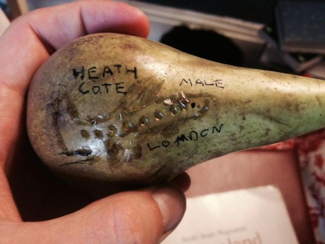 10517706_10154607699235038_3211615586526573888_n