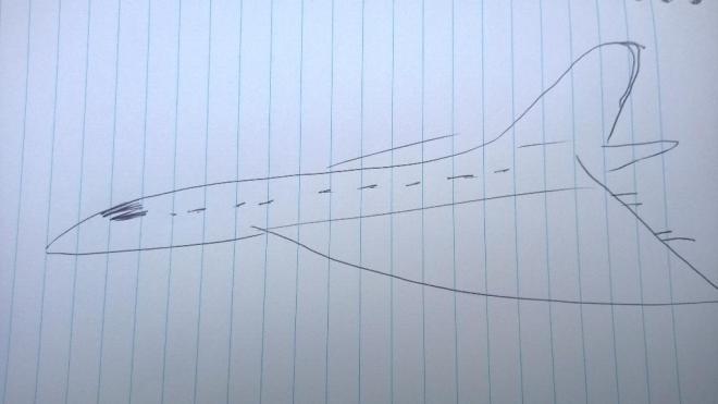 BwiPj8WIgAAawM4.jpg-large