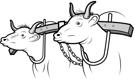 yoke.png