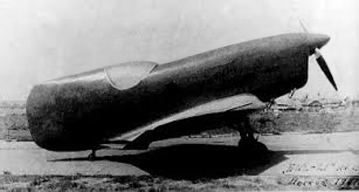BICh-21-tailless-airplane-2.jpg