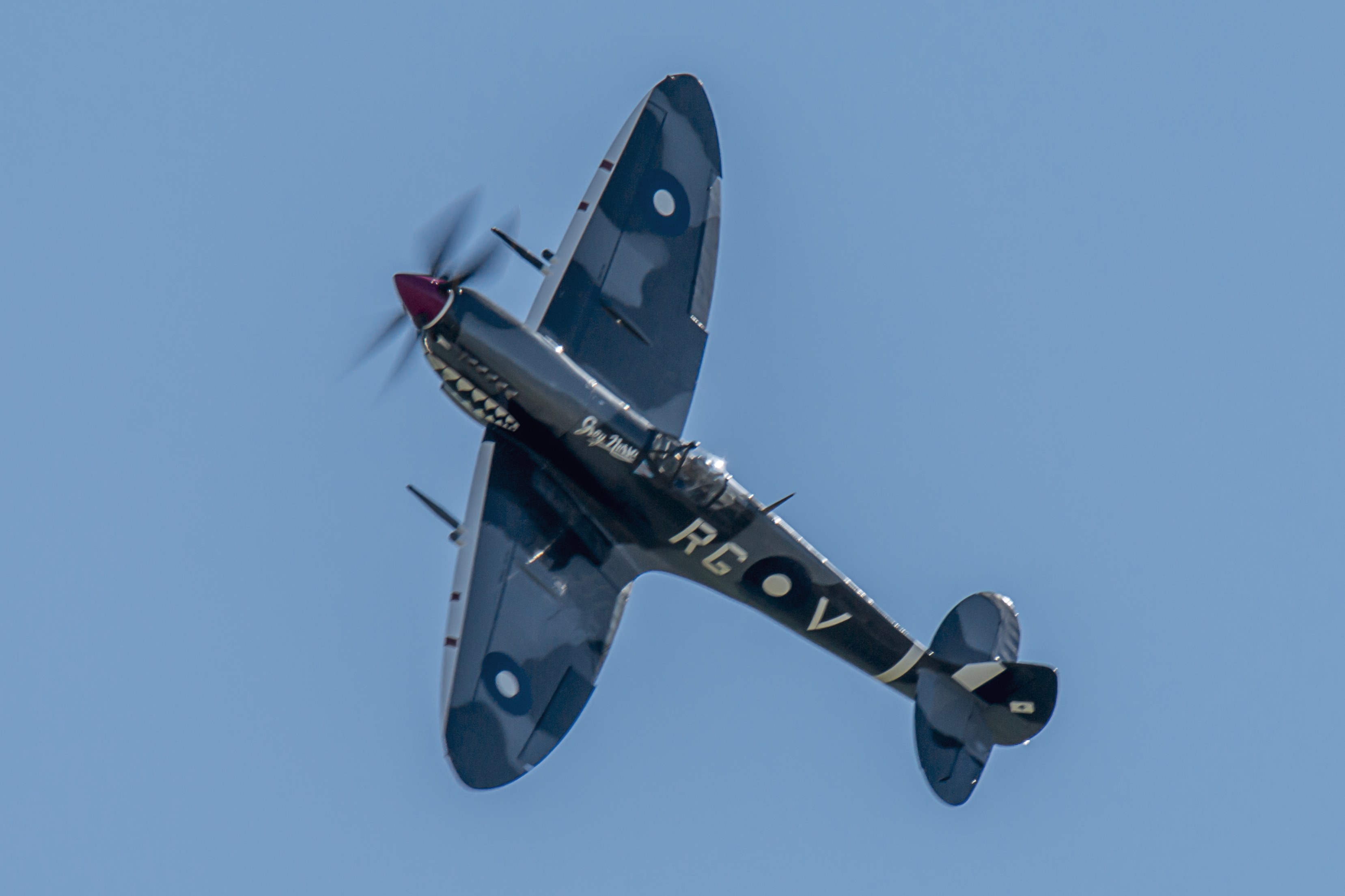 Supermarine Spitfire IMG_6280.jpg