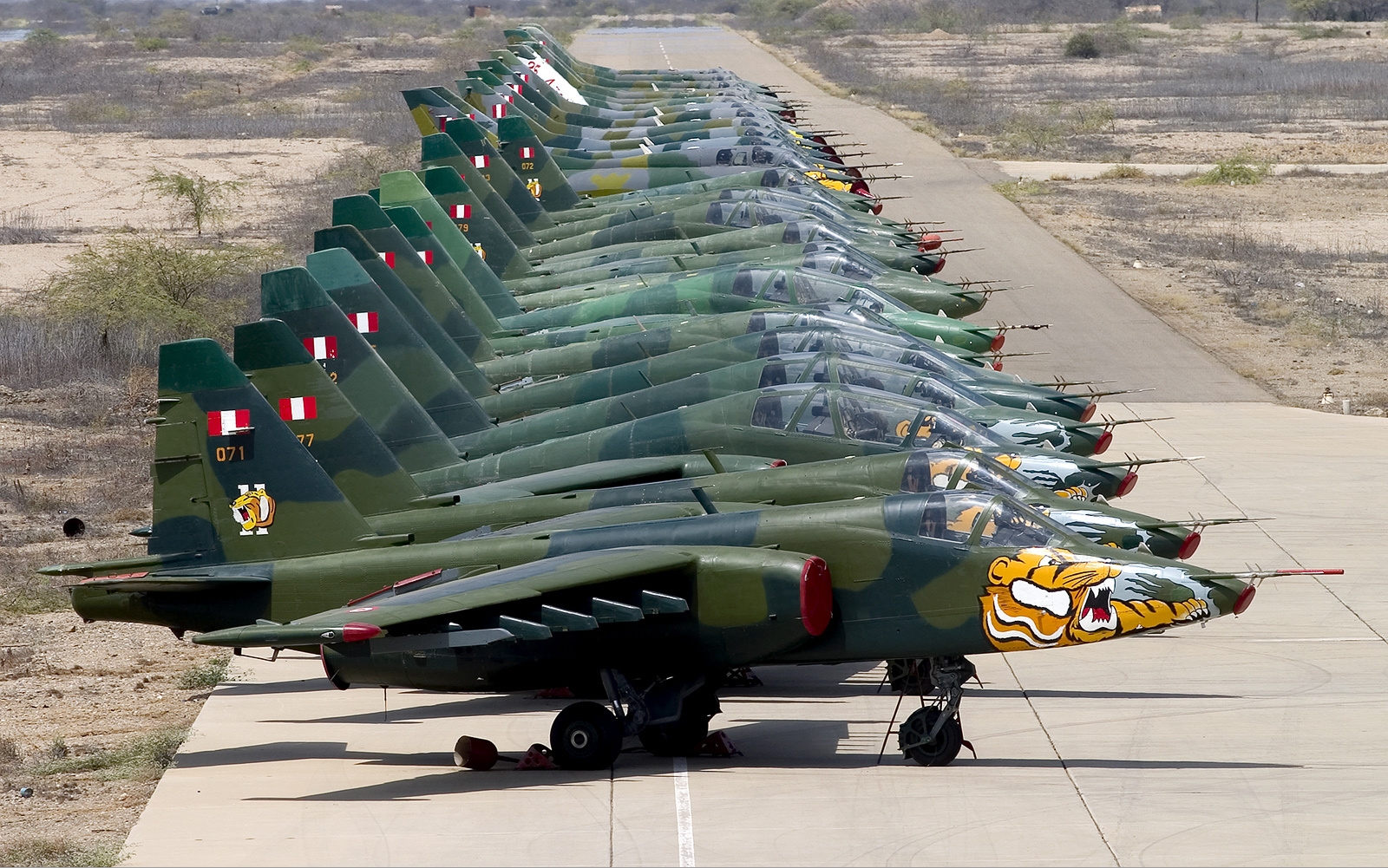 Peruvian_Air_Force_Sukhoi_Su-25_lineup_Lofting.jpg