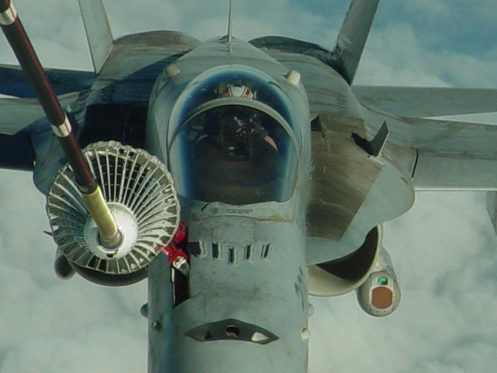 Camera Phone Feb 2 14 001.JPG