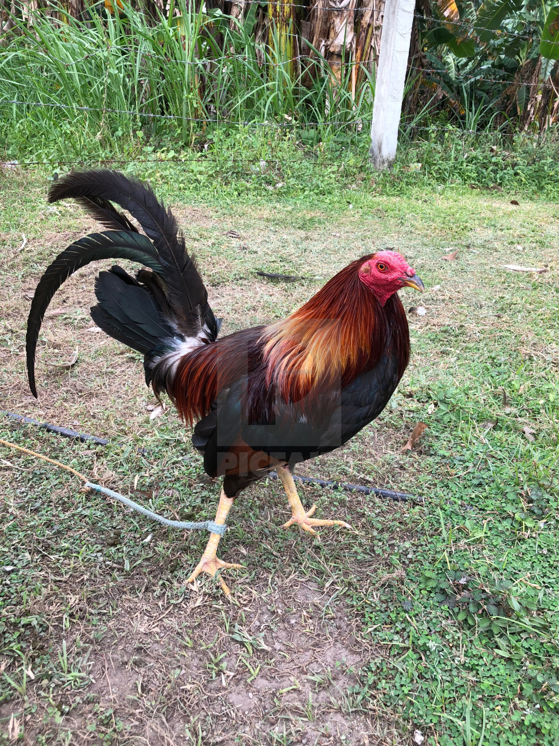 jqpg1t6abpca0hpobost